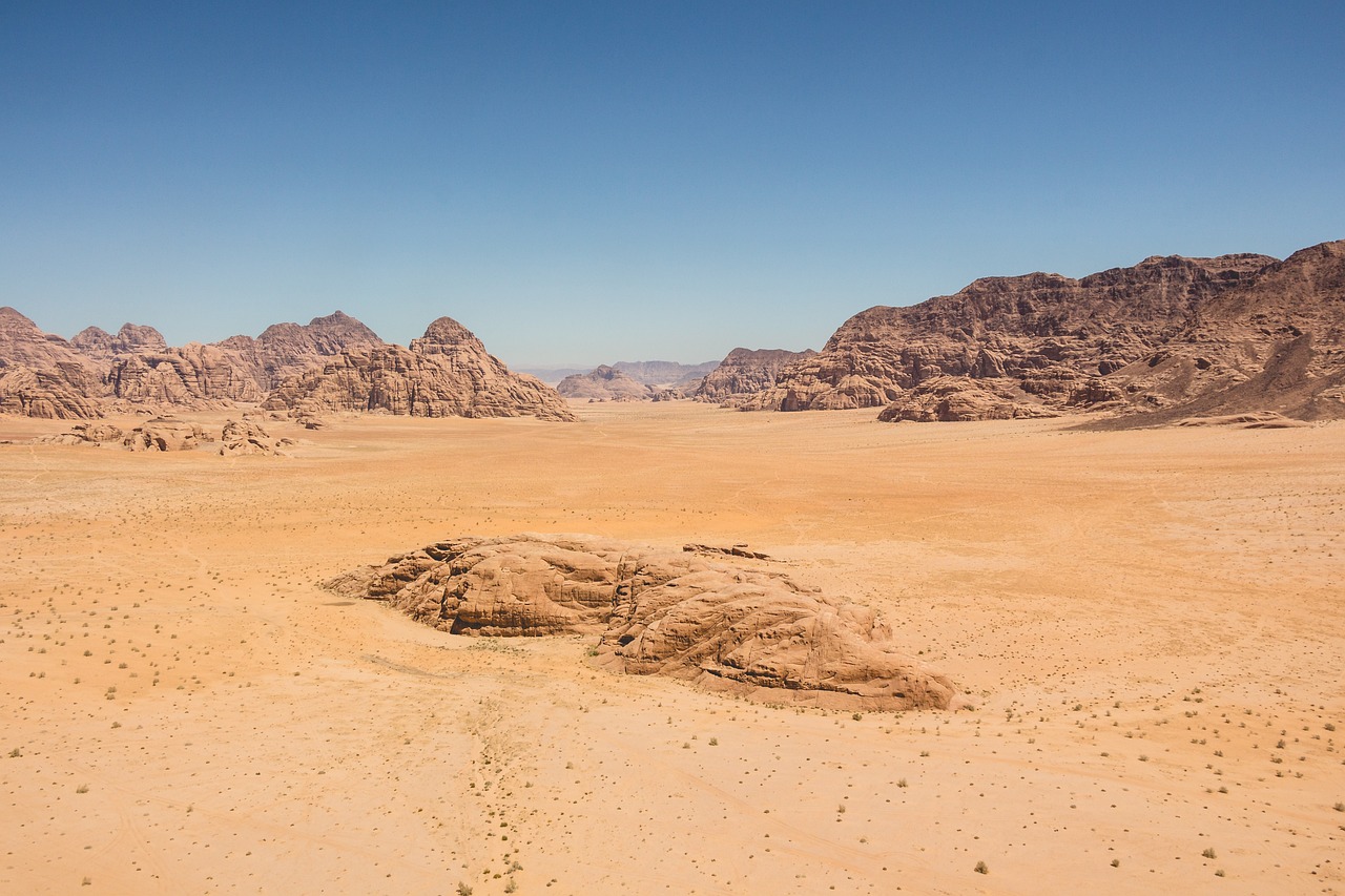 Exploring the Unique Desert Flora of the Southwest